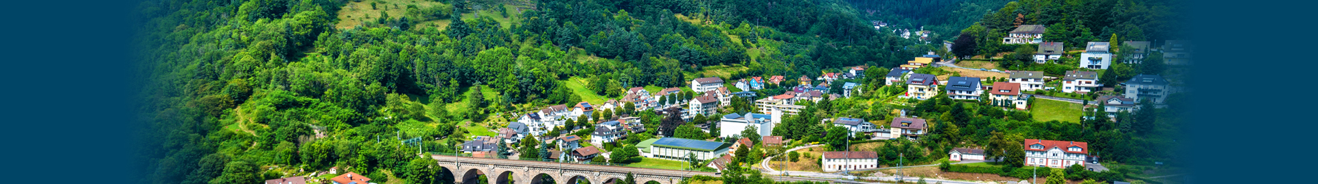 Find A Claims Adjuster in Europe